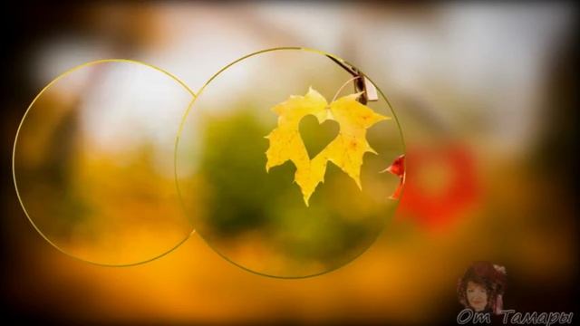 Осень и любовь!🍁❤️ Классная и простая песня о любви💕💕💕