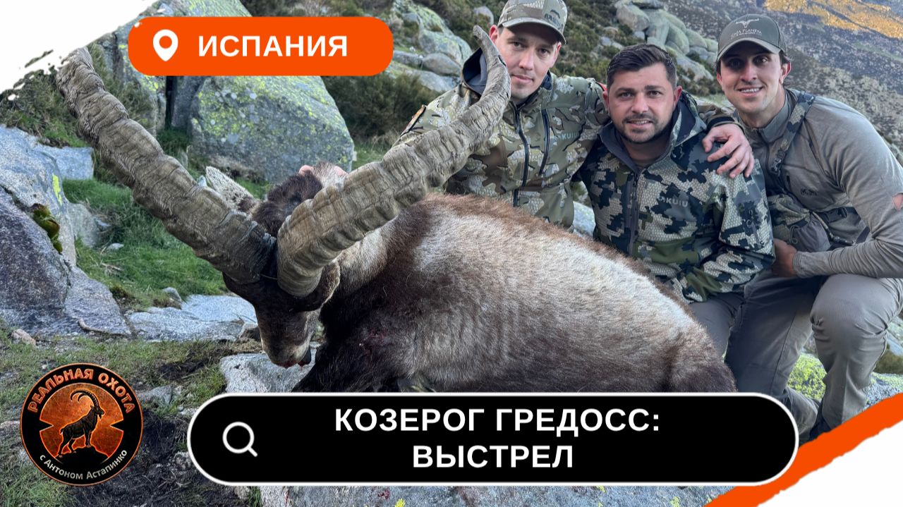 ИСПАНИЯ| КОЗЕРОГ ГРЕДОС | ВЫСТРЕЛ