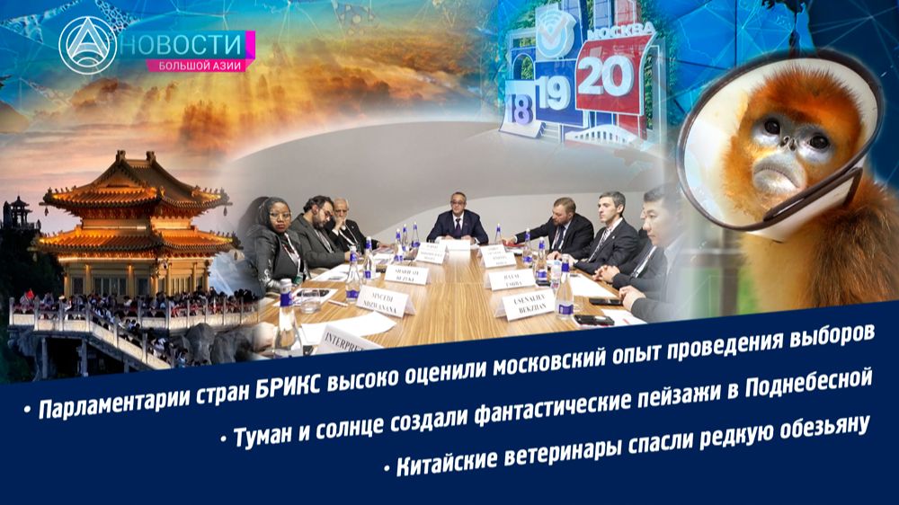 Новости Большой Азии (выпуск 1166): Цифровые выборы, вторая жизнь ТунТун, выше облаков