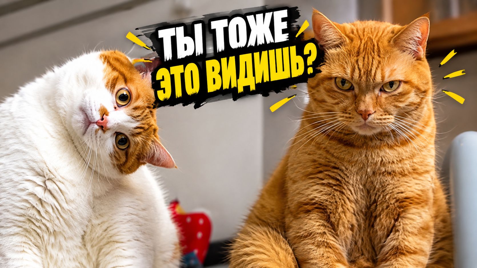 Смех до слёз: лучшие приколы №332