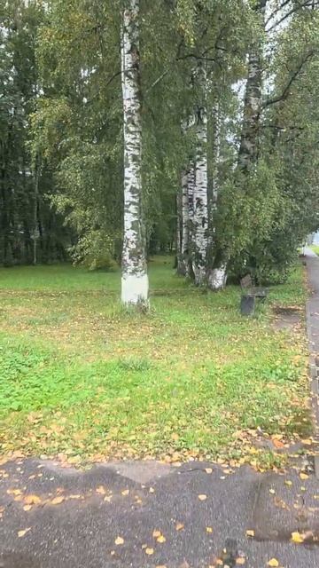 ОСЕНЬ 🍂 🍁 🥮