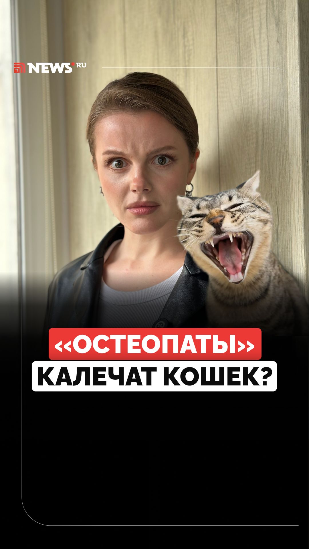 «Остеопаты» для животных калечат котов?