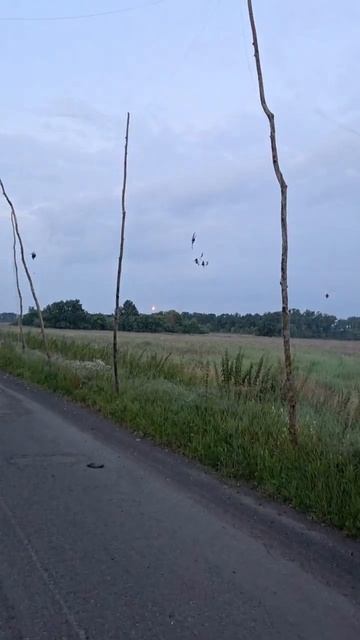 Лучший стрелок группы 