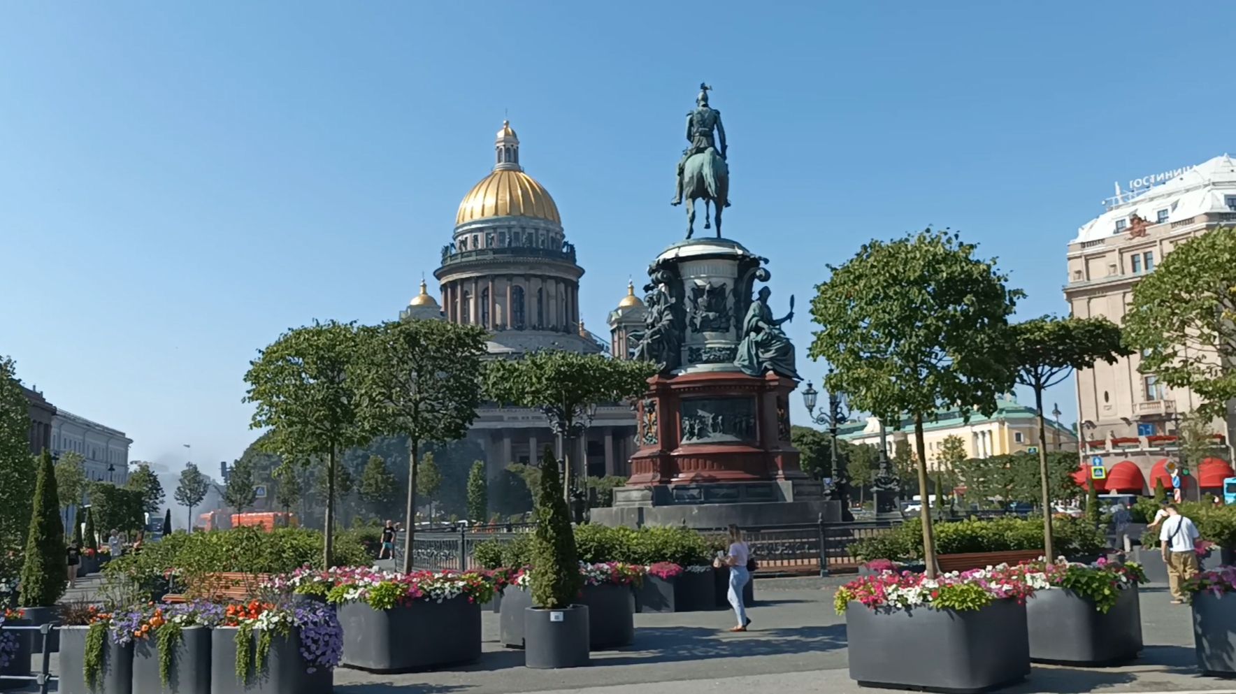 Сад на асфальте _ по Питеру