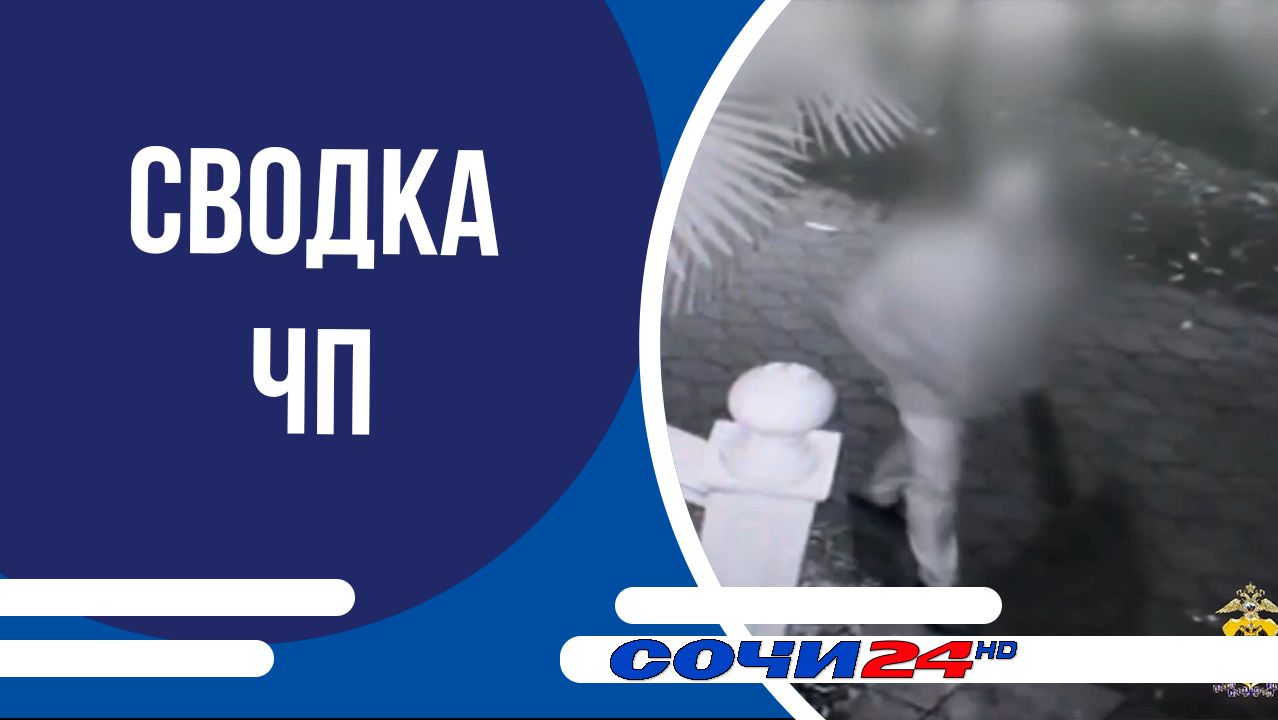 Сводка ЧП