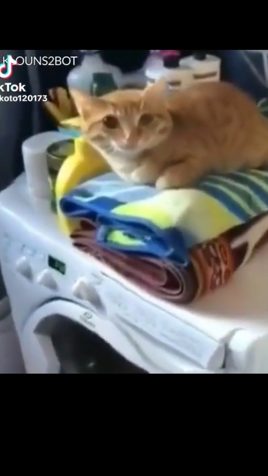 🎦КОРОТКИЕ ВИДЕО🎦