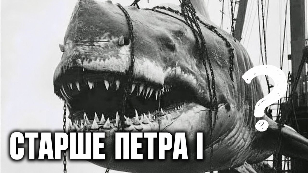 СУЩЕСТВА жизнь для которых длится вечность