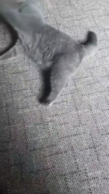 Хорошие стихи