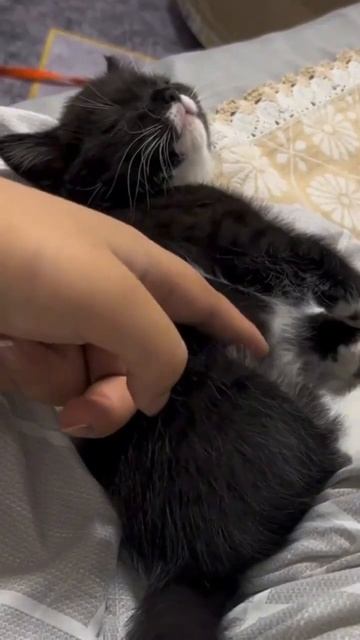 Мы каждое утро?