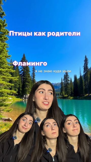 Птицы родители