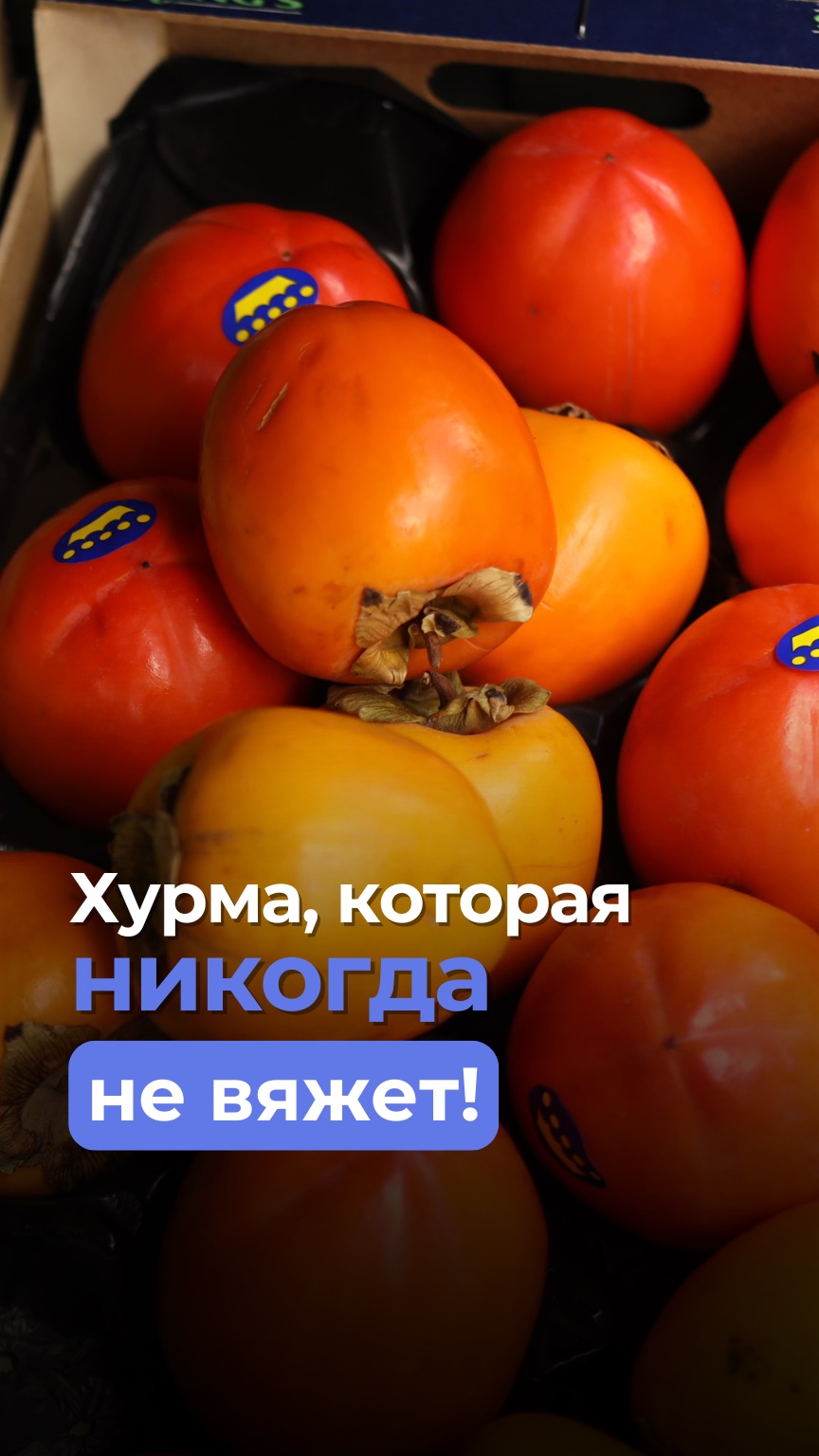 Хурма, которая никогда не вяжет!