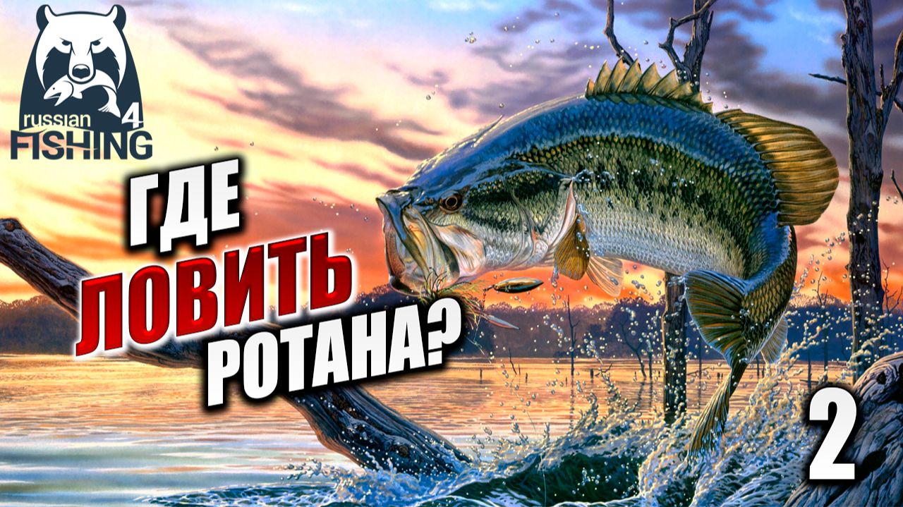 ГДЕ ЛОВИТЬ РОТАНА НА ОЗЕРЕ КОМАРИНОЕ? | Russian Fishing 4 / Русская Рыбалка 4 | #2