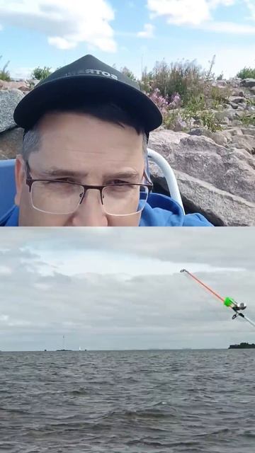 подсечка #рыбалкавпитере
