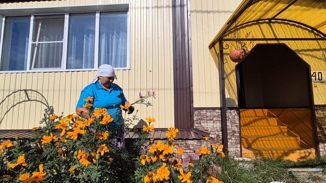 для кого хоздвор/ сегодня я переработалась/ какую кучу накидали