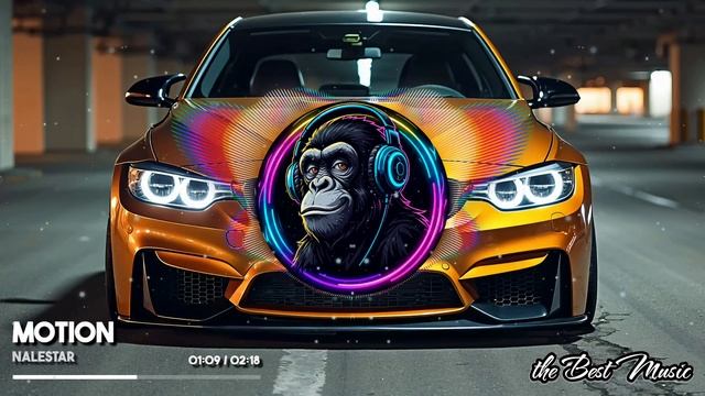 Motion - Nalestar