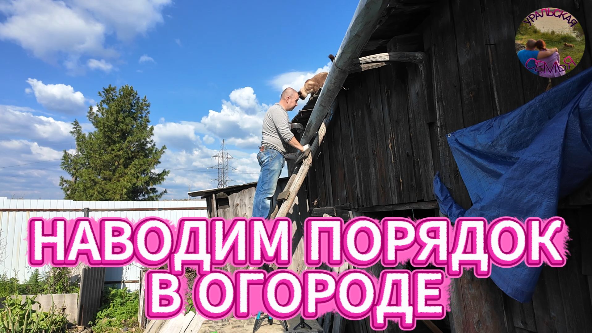 НАЧИНАЕМ ОСЕННЮЮ УБОРКУ ОГОРОДА