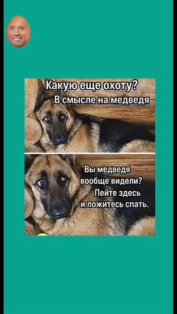 Какую еще охоту? В смысле на медведя?