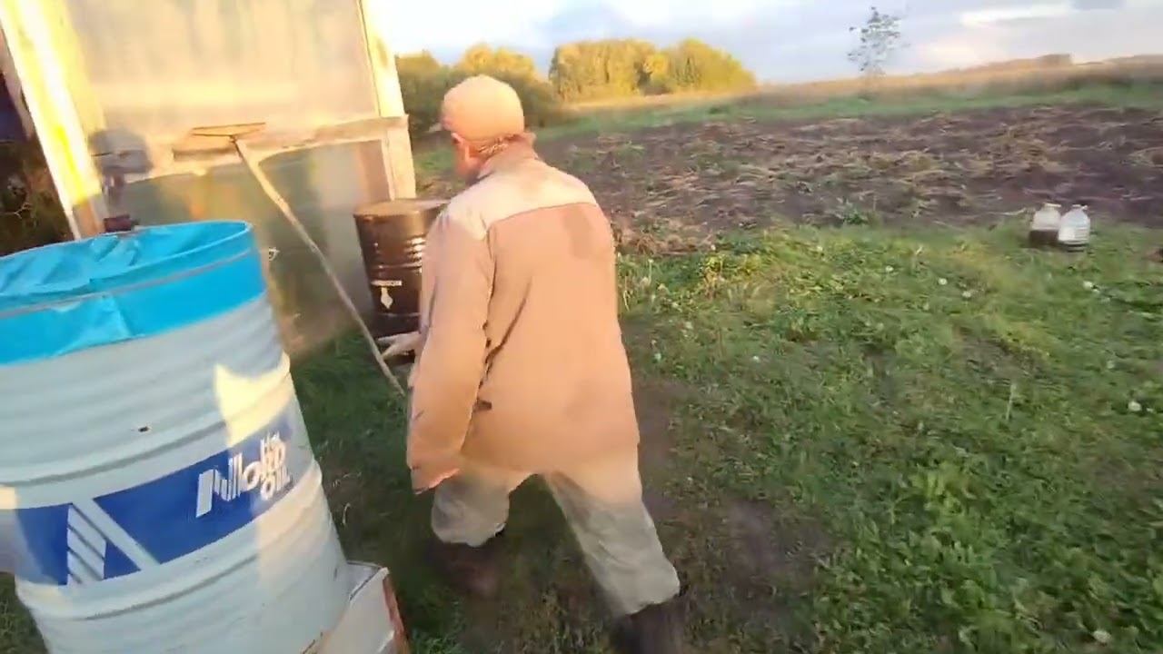 Оборачивание моркови на зиму. 23.09.2026