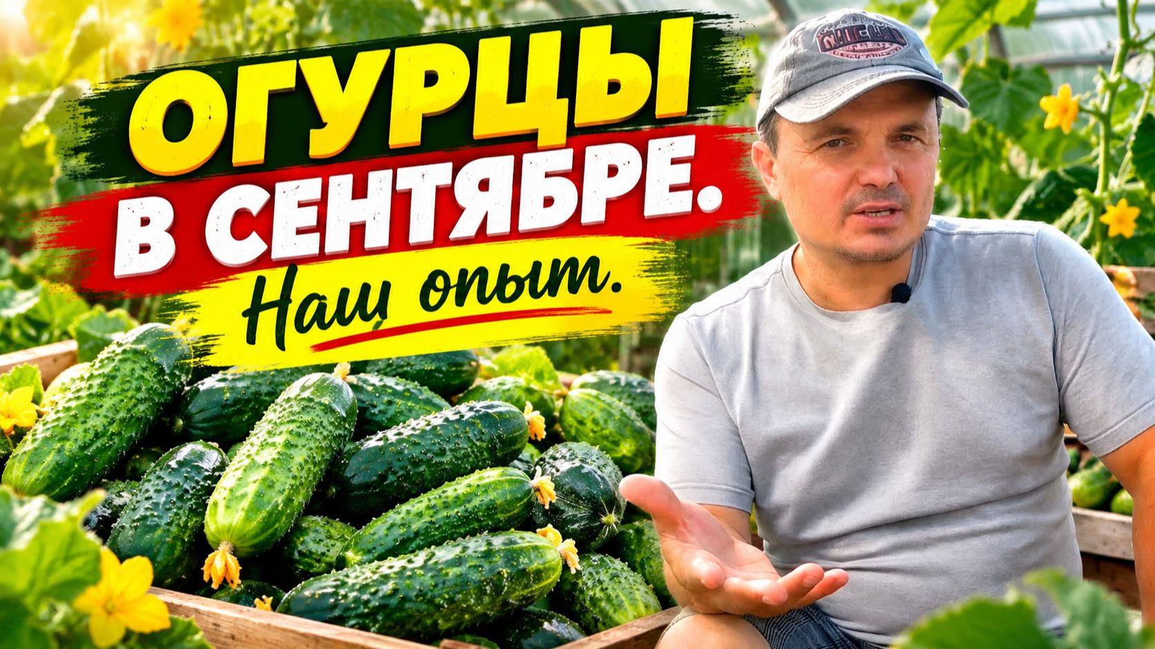 Огурцы в сентябре? Легко! Наш опыт.