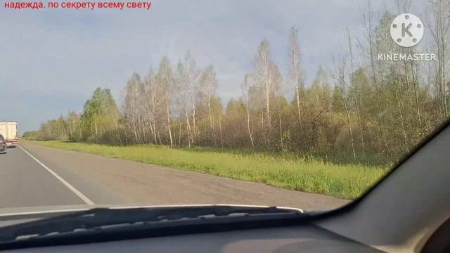 МОИ ПЕСНИ