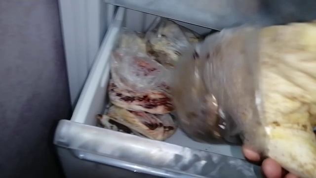 Выращиваем птицу от яйца до мяса