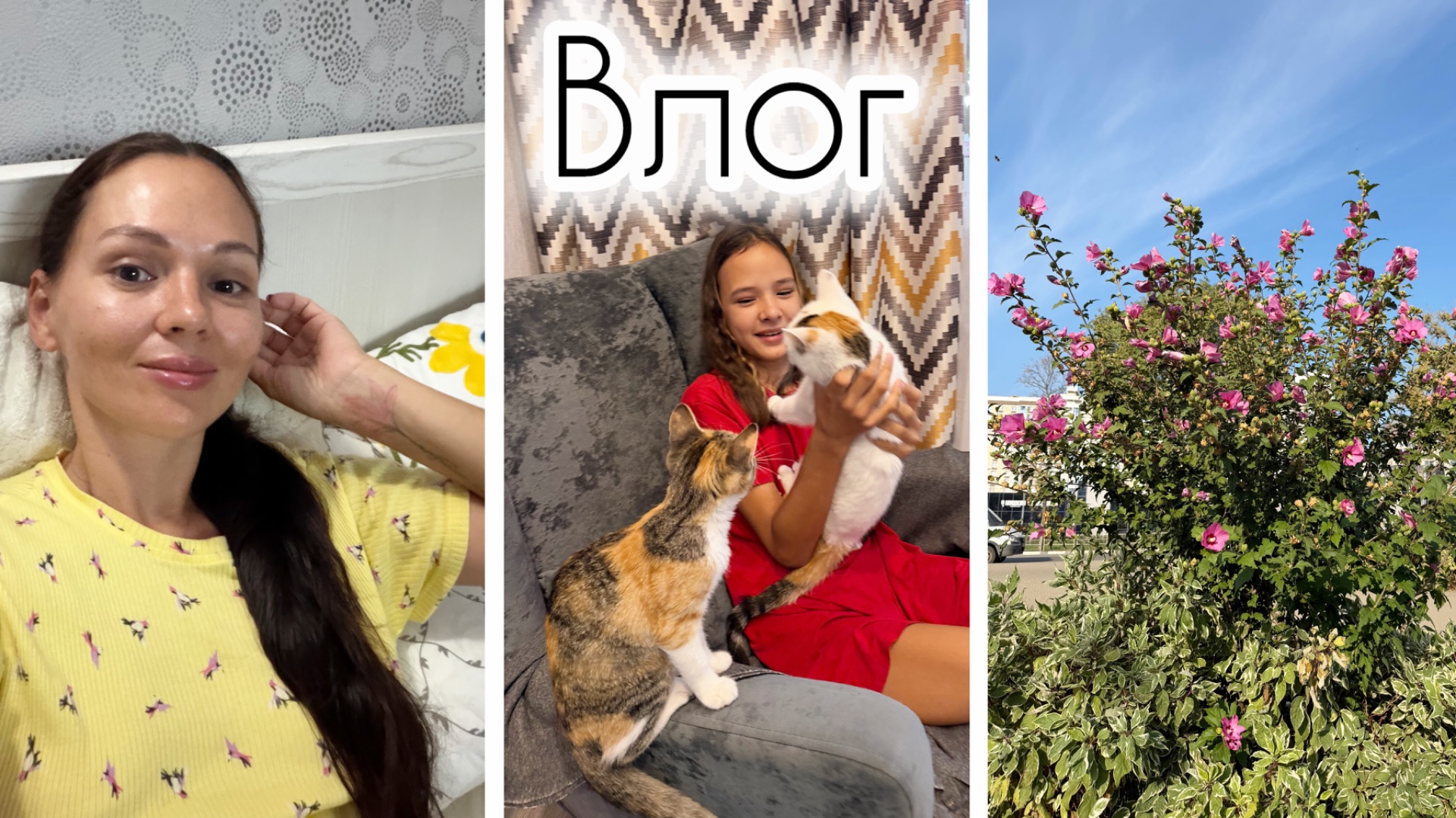 Влоги