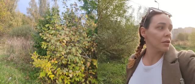Итак, первый день после больничного в садике. Как там с оплатой за садик из материнского капитала?