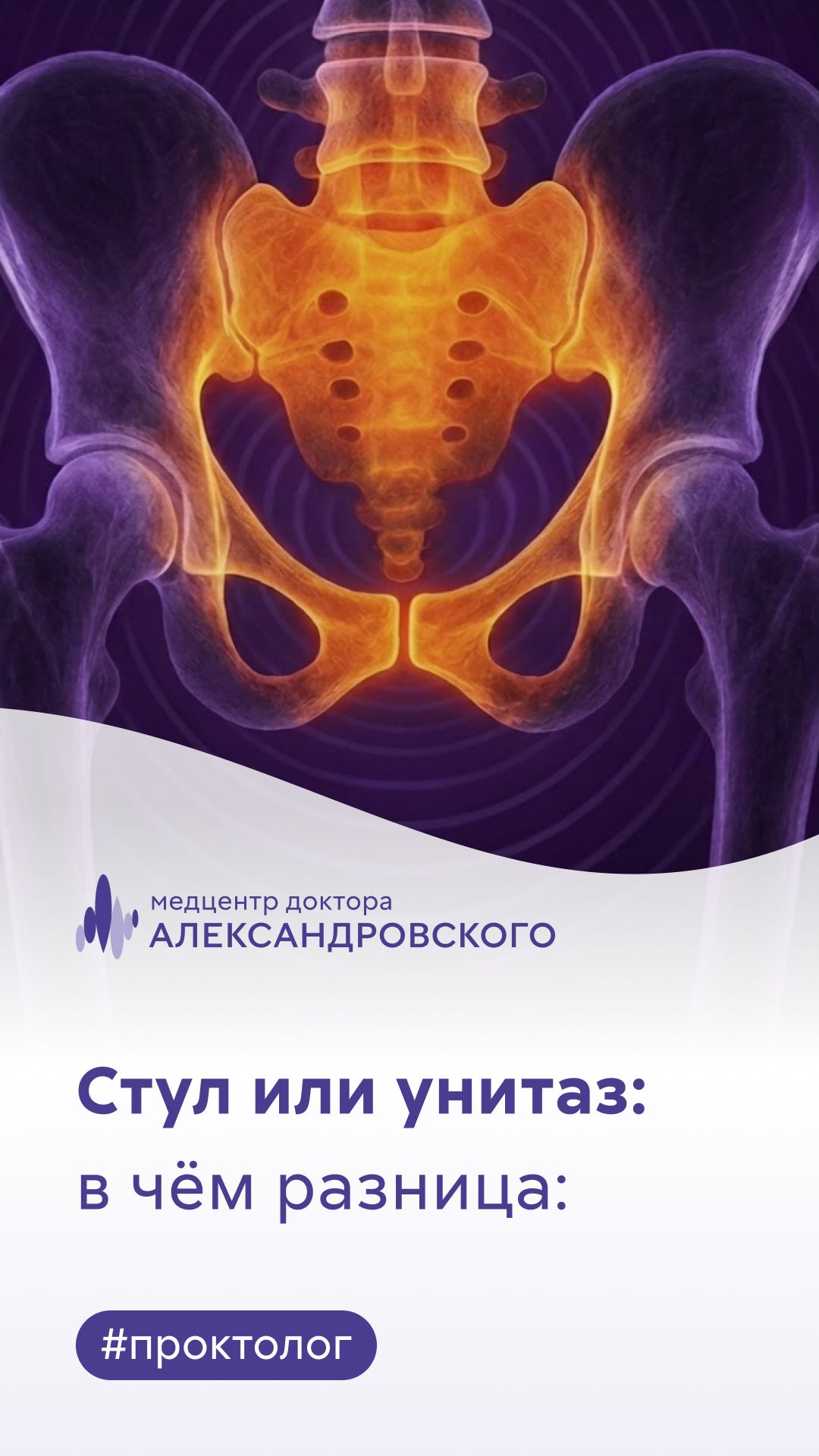 🚽 Сидеть на стуле или на унитазе: в чем разница для здоровья?