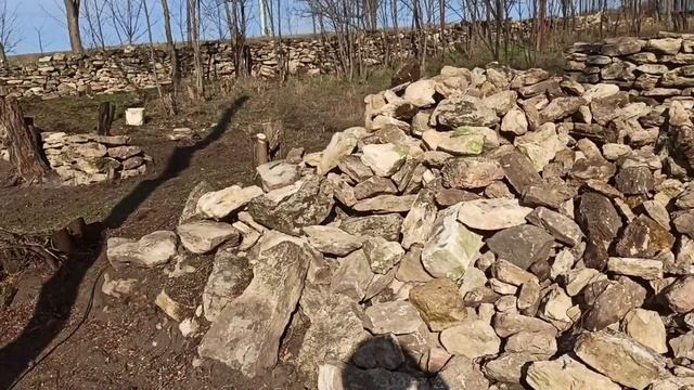 10,11 декабря 2024г.Мой дом.Корчую пни,доделываю стенки.