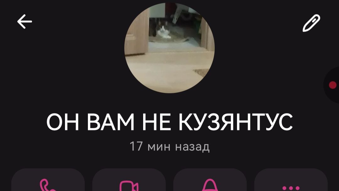 ОН ВАМ НЕ КУЗЯНТУС! РАЗОБЛАЧЕНИЕ КАНАЛ 