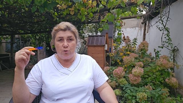 Обзор Ольга зауралье
