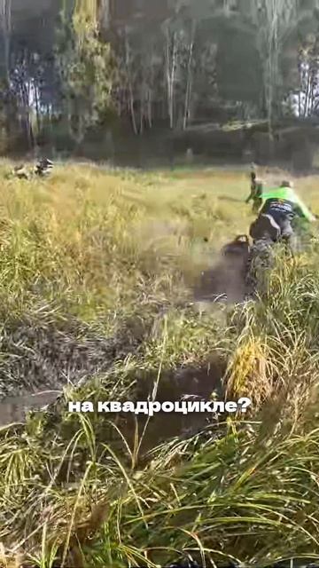 Квадроциклы