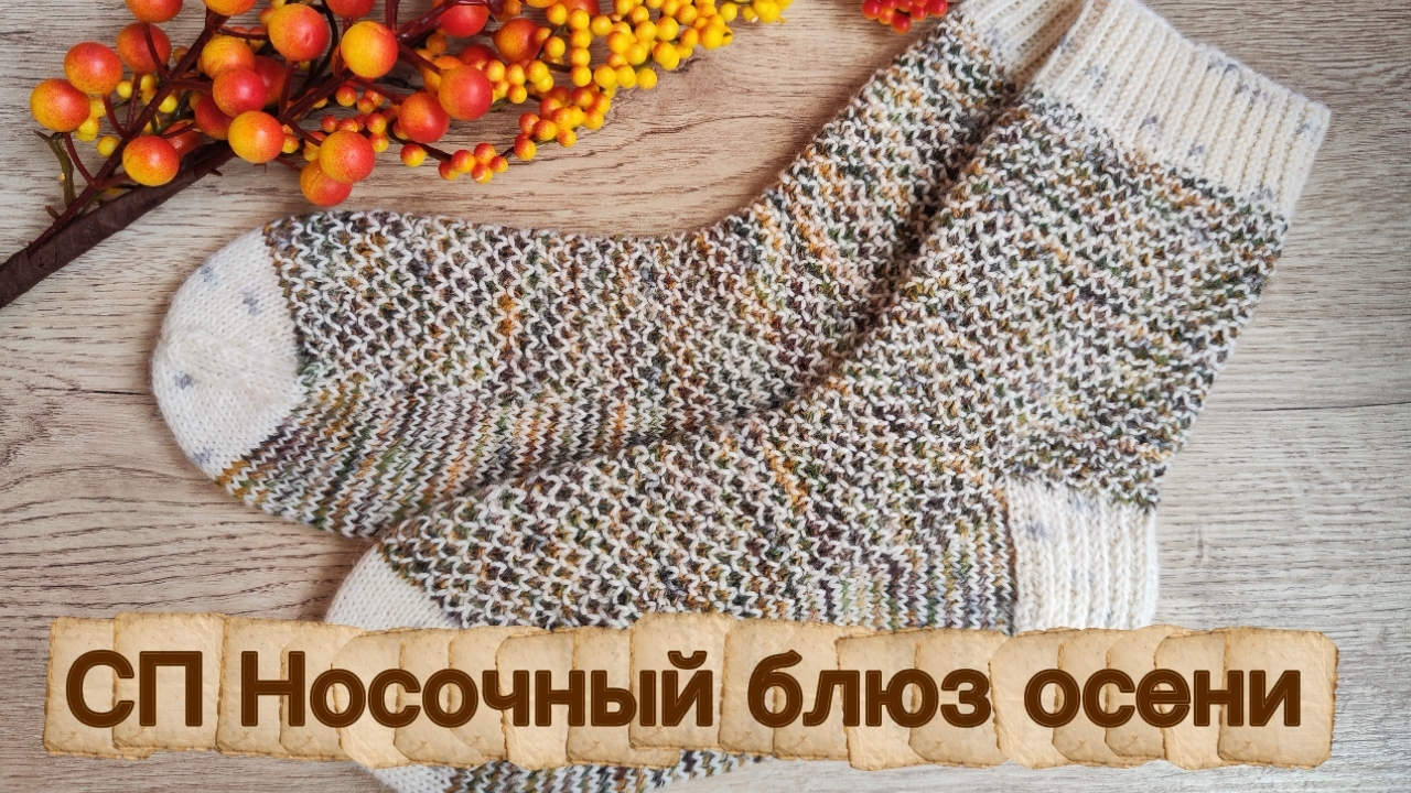 СП Носочный блюз осени с Еленой Велиной. Отчёт сентября