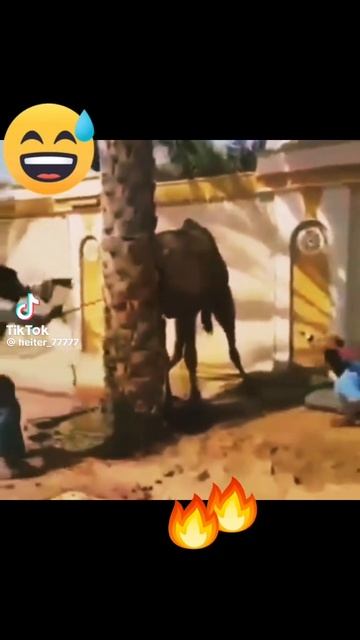 Третий лишний🤣🤣🤣