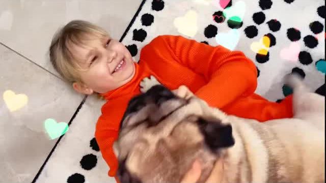 Алиса едет в гости к Лёве ! 🐕