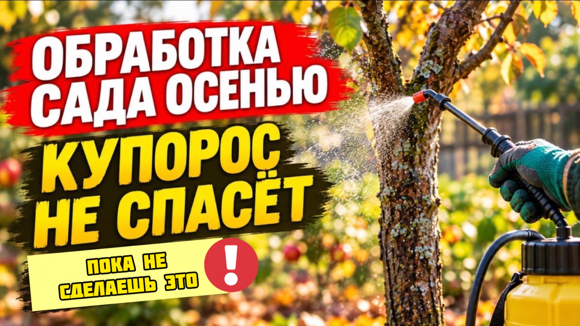 Обязательно сделайте ЭТО осенью в саду! Чем обрабатывать сад осенью от всех болезней