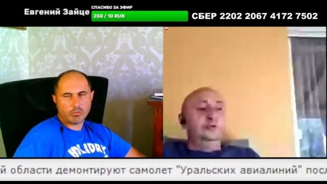 Про дикобразов и другие вопросы