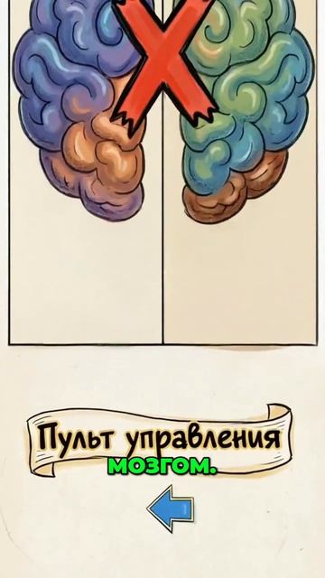 ТВОИ ПОЛУШАРИЯ ВЕДУТ ВОЙНУ ДРУГ С ДРУГОМ