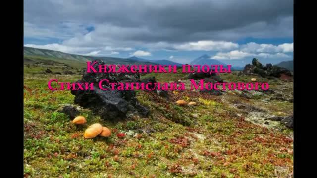 Княженики плоды