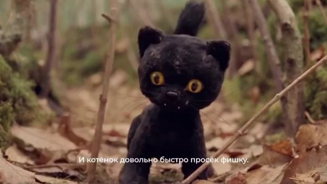 Я тоже иногда бываю как этот котёнок. Много мата.