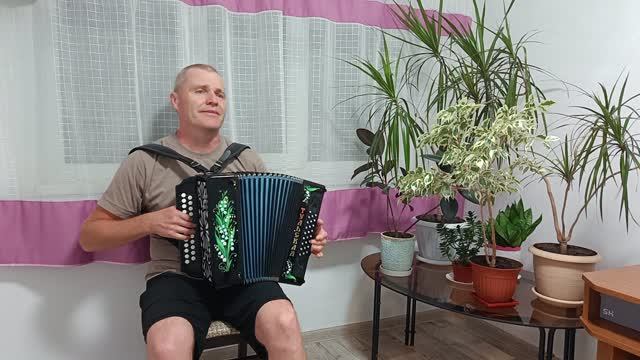 Песни под гармонь