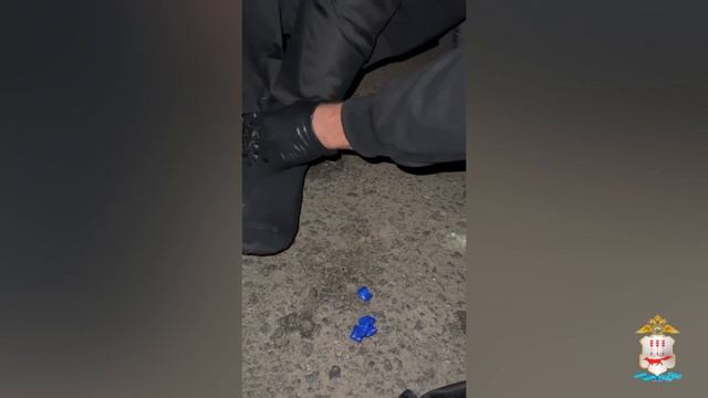В Саранске задержан студент техникума, совмещавший выгул собаки и раскладку свёртков с наркотиками