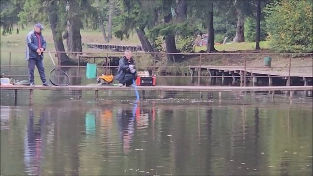 Запуск и первые поимки форели. Спорт-зона. Клёвое место Лосиный остров.