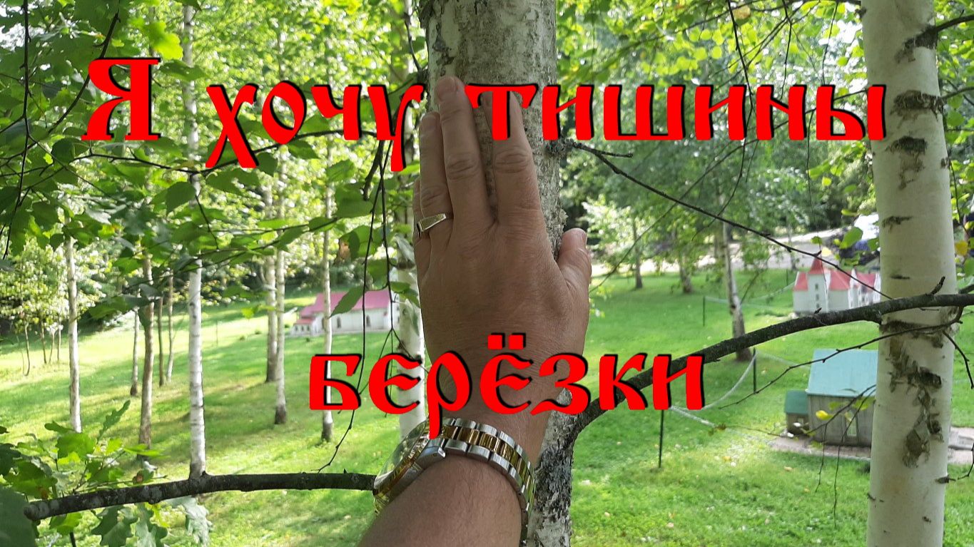 25. 9. 26. Я хочу тишины, берёзки.