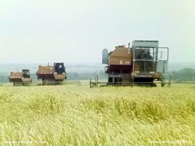 1986 год. Тюменская область. Уборка ржи
