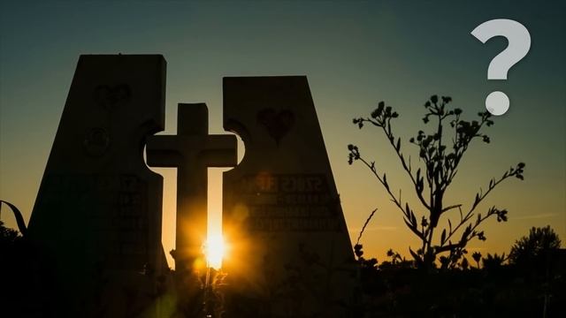 Тайна сознания: что происходит, когда сердце останавливается 🫀🔍