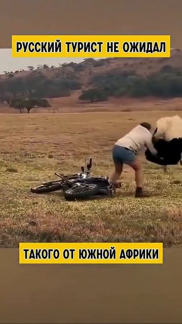 Русо Туристо 😎