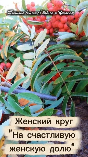 Женский круг 