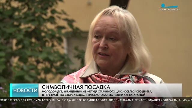 Пресса, репортажи