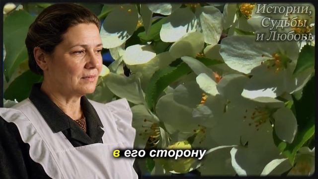 «СУДЬБУ НЕ ОБМАНЕШЬ». Буфетчица пустила бедного старика в тепло и дала ему чай, а спустя месяц...